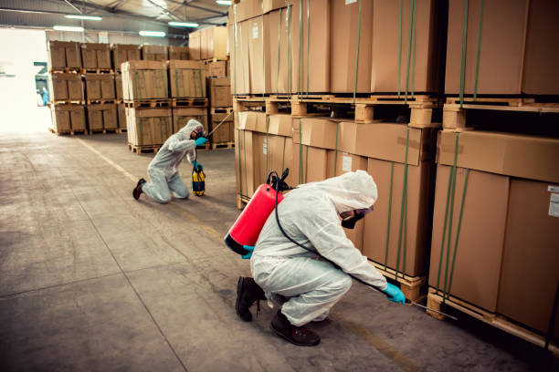 Reliable Inverness, FL Pest Control Solutions