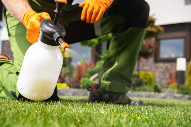 Best Pest Removal Services  in Inverness, FL