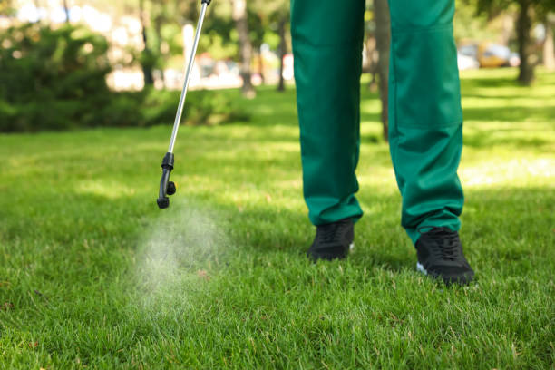 Best Flea Control Services  in Inverness, FL