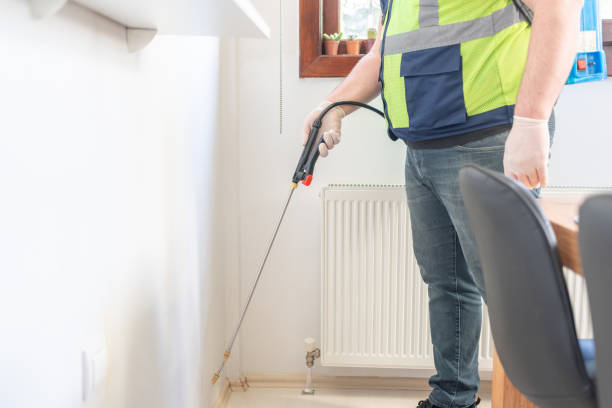 Best Flea Control Services  in Inverness, FL