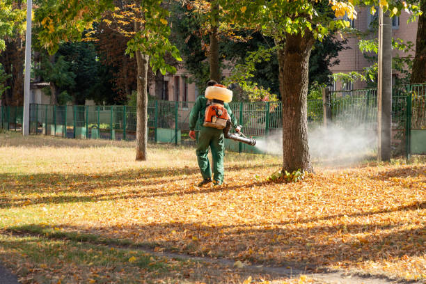 Best Cockroach Control Services  in Inverness, FL