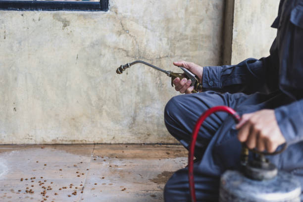 Best Pest Inspection Near Me  in Inverness, FL